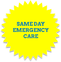 Same Day Emergency Care